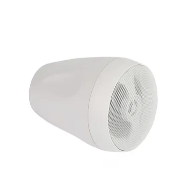 Подвесная акустика CVGAUDIO CS416TW